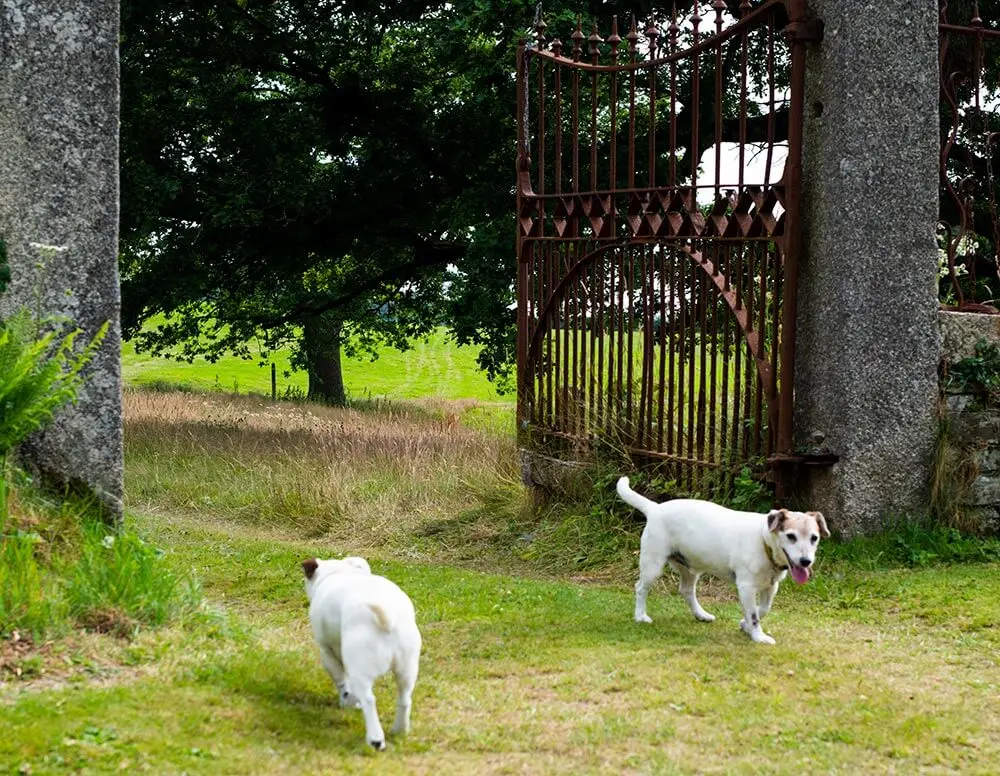 Tom_charlie_2019_7143 2